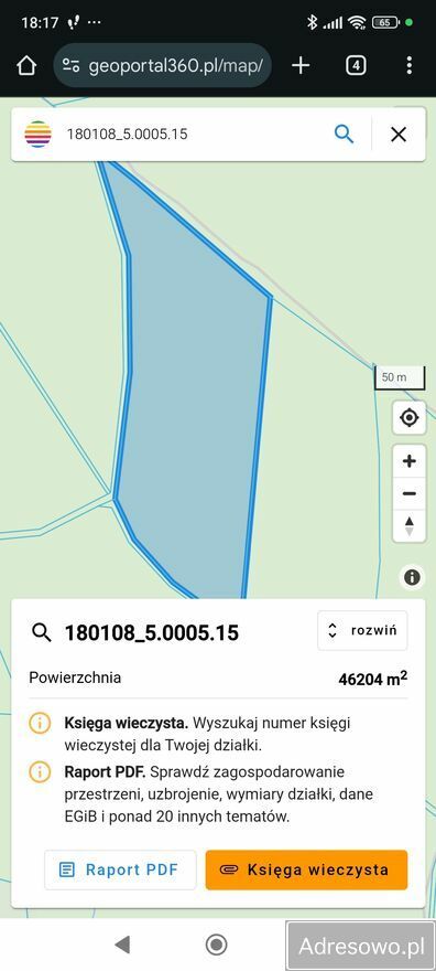 Działka leśna Daszówka. Zdjęcie 2