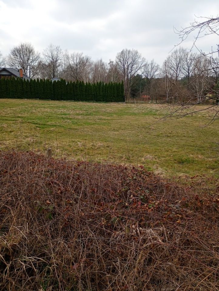 Działka rolna Lubsko. Zdjęcie 4