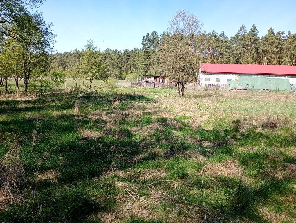 Działka rolna Chrośna