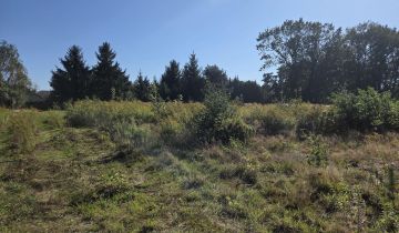 Działka budowlana Niesułków-Kolonia