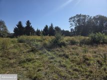 Działka budowlana Niesułków-Kolonia. Zdjęcie 1