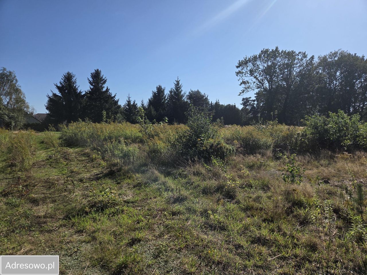 Działka budowlana Niesułków-Kolonia. Zdjęcie 2
