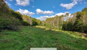 Działka Kobysewo, ul. Klasztorna