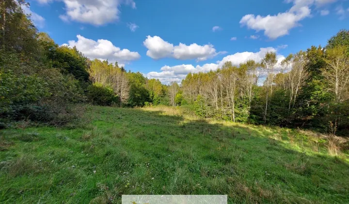 Działka Kobysewo, ul. Klasztorna