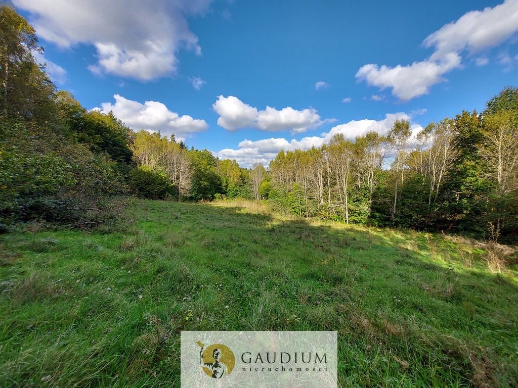 Działka Kobysewo, ul. Klasztorna