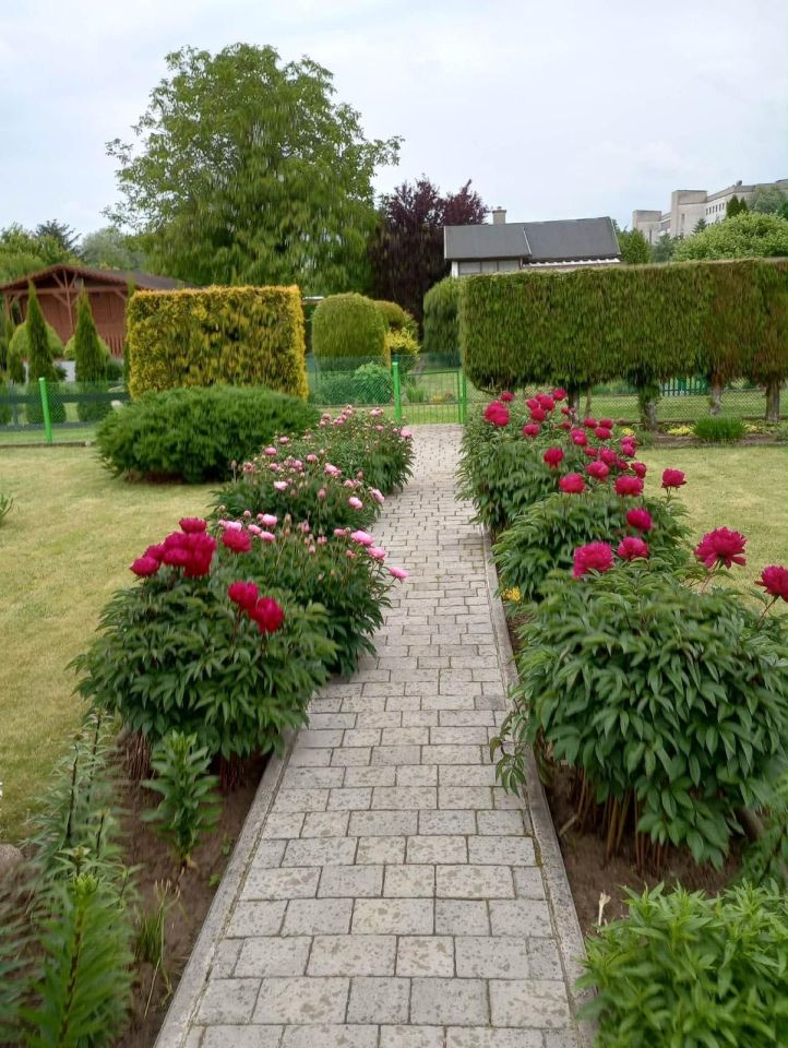 Działka rod Kalisz, ul. Złota. Zdjęcie 2