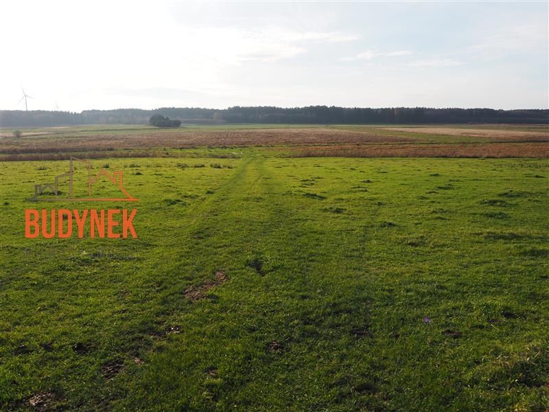 Działka rolna Krupy. Zdjęcie 9