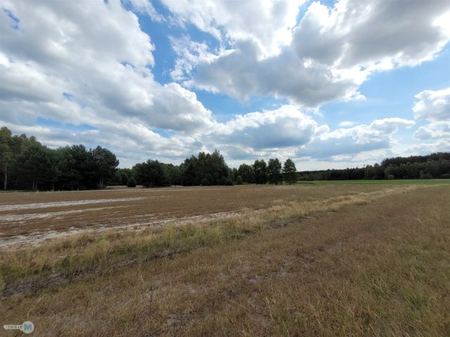 Działka rekreacyjna Stanowiska. Zdjęcie 13