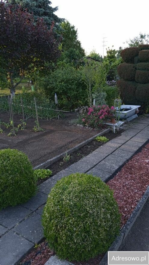 Działka rod Gorzów Wielkopolski, ul. Myśliborska. Zdjęcie 6