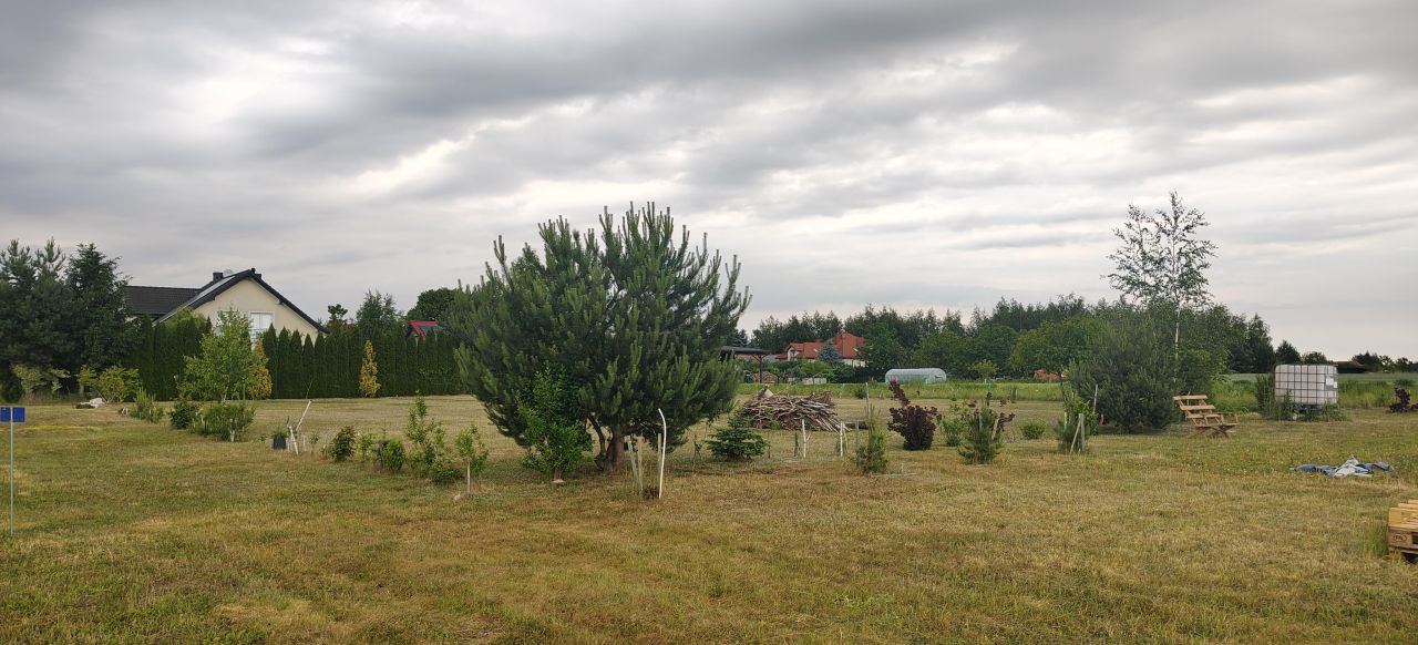 Działka budowlana Prawiedniki. Zdjęcie 5