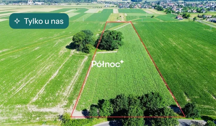 Działka rolna Chudów, ul. Szkolna