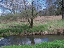 Działka Bogunice. Zdjęcie 1