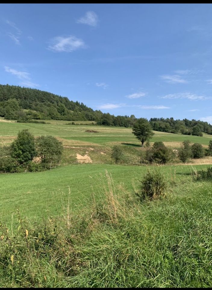 Działka rolno-budowlana Hoszowczyk. Zdjęcie 5