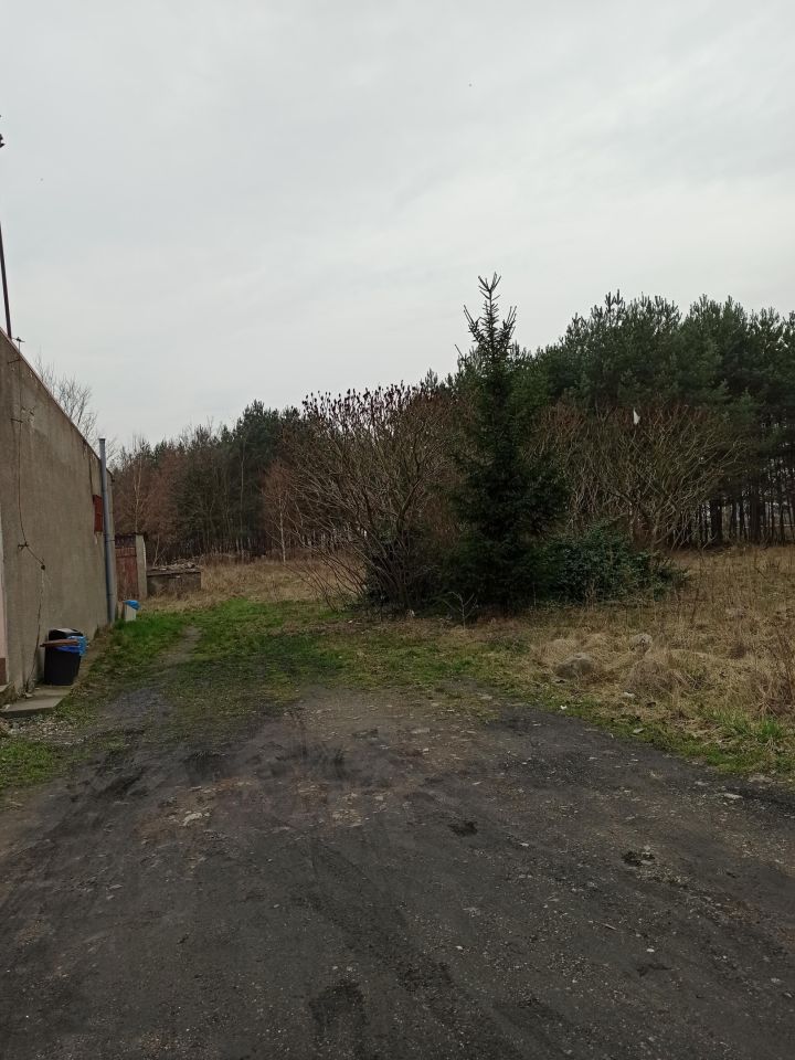 Lokal Mizerka Nowa Mizerka. Zdjęcie 5