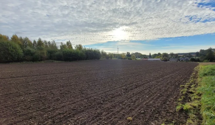 Działka budowlana Strzelinko