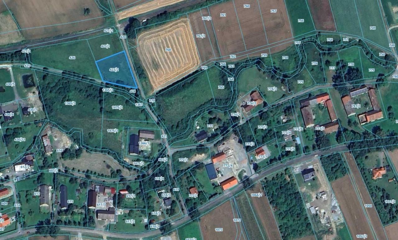 Działka inwestycyjna Stary Wielisław. Zdjęcie 5