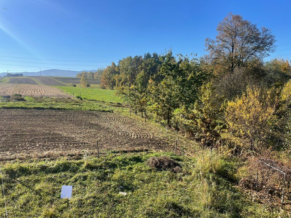 Działka rolno-budowlana Nowy Sącz. Zdjęcie 3