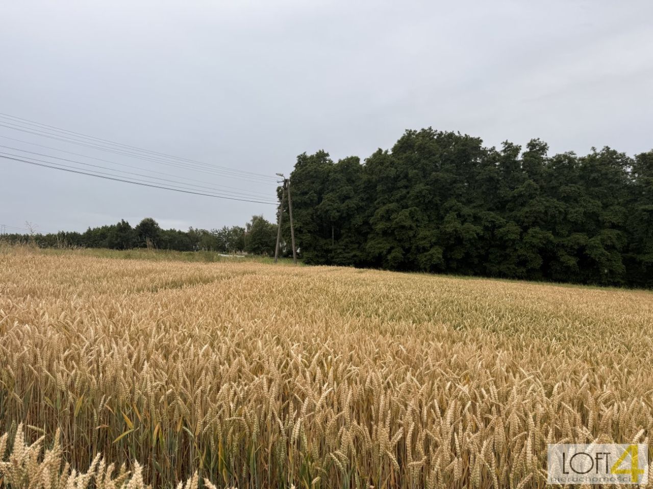 Działka rolno-budowlana Wojnicz. Zdjęcie 14