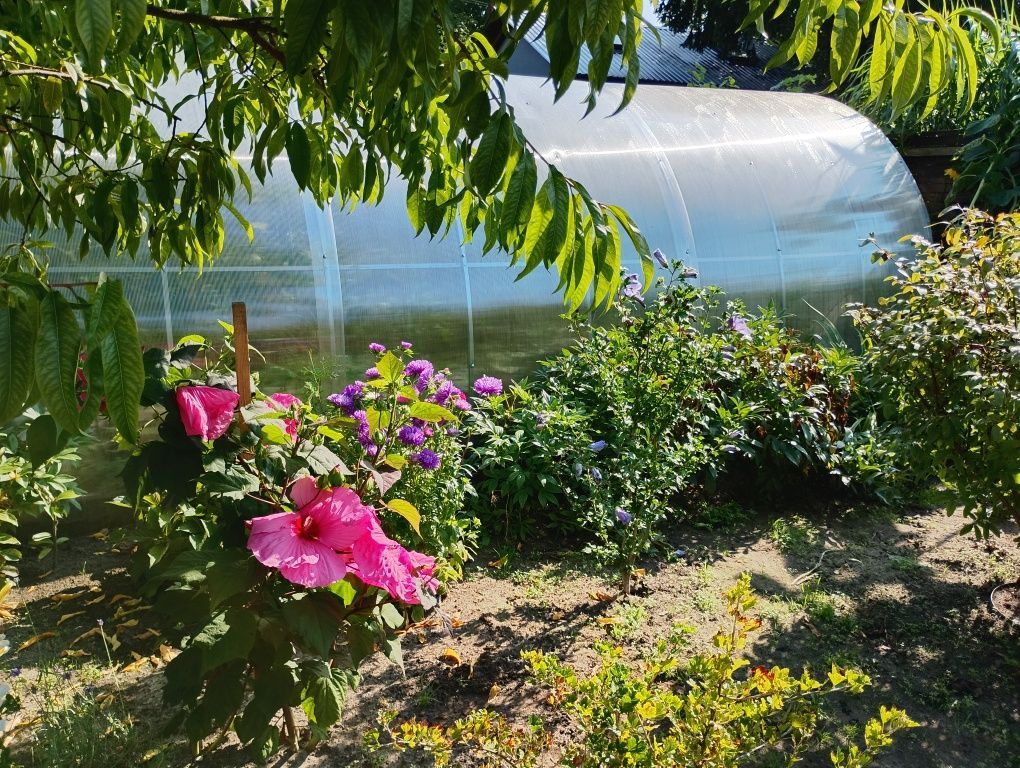 Działka rod Brodnica. Zdjęcie 7