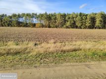 Działka budowlana Piaski. Zdjęcie 4