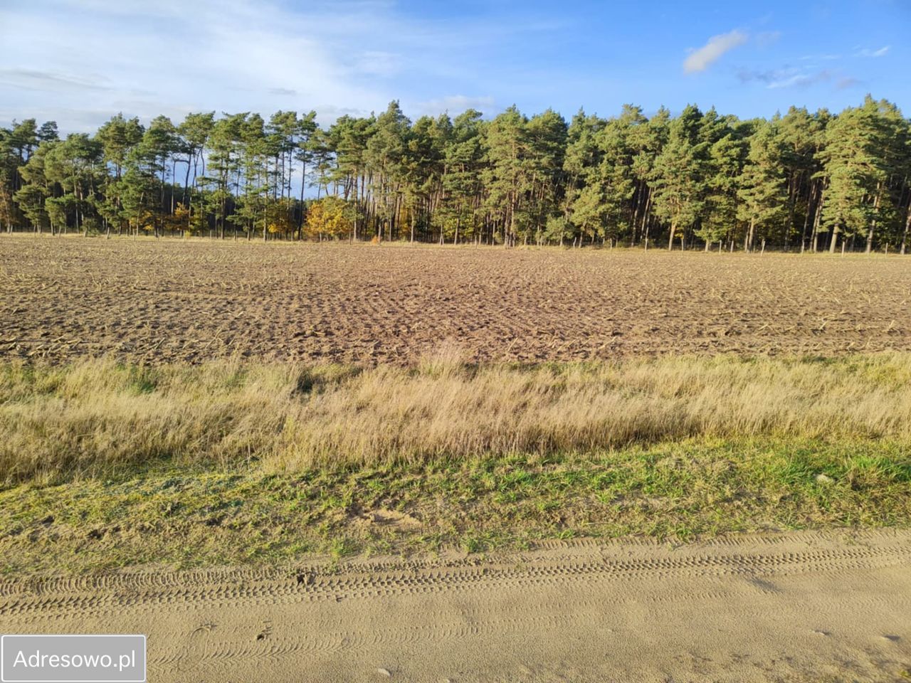 Działka budowlana Piaski. Zdjęcie 5