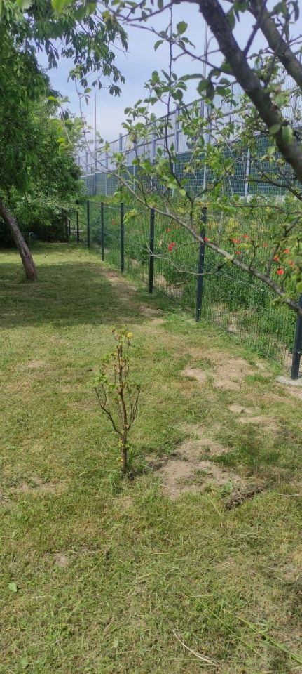 Działka rod Rzeszów, ul. Henryka Wieniawskiego. Zdjęcie 4