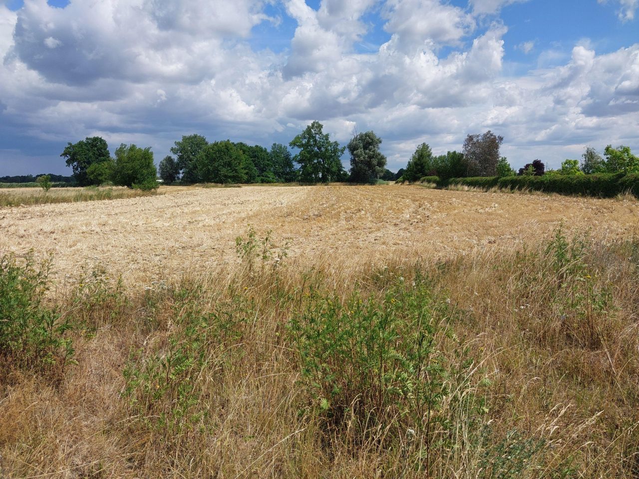 dom wolnostojący, 6 pokoi Grodziec Mały. Zdjęcie 9