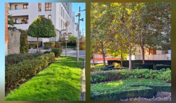 Mieszkanie 2-pokojowe Warszawa Wilanów, ul. Sarmacka