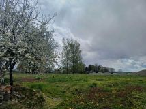 Działka rolno-budowlana Cząstkowice. Zdjęcie 2