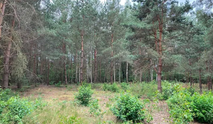 Działka budowlana Radziwiłłów