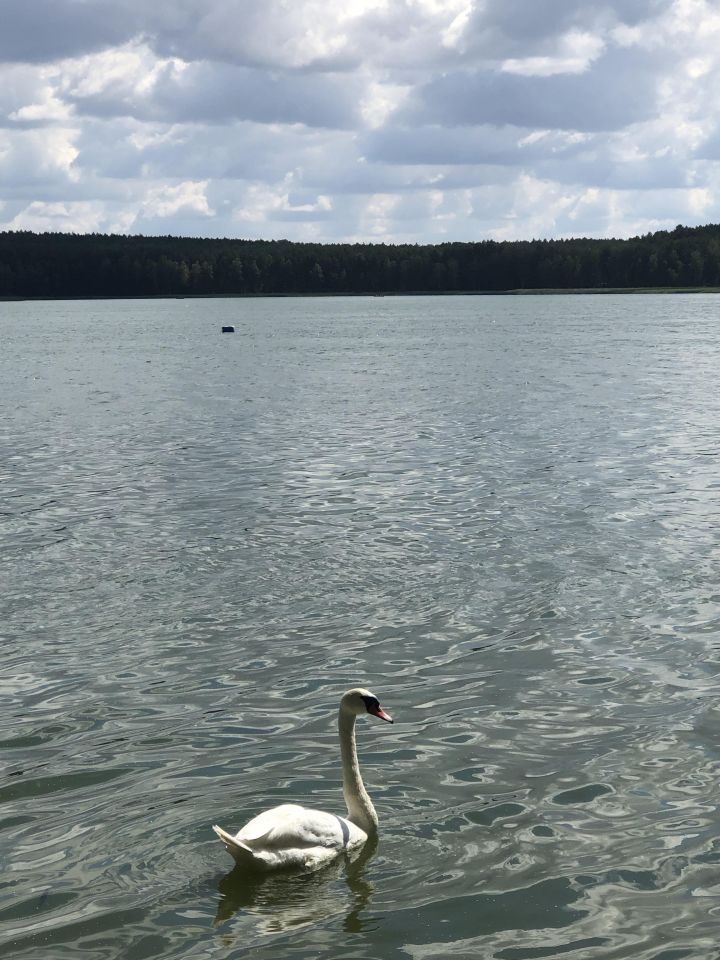 Działka budowlana Cekcyn, ul. Cicha. Zdjęcie 6