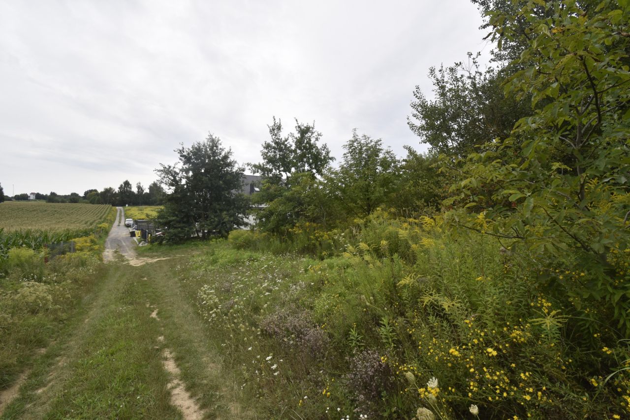 Działka budowlana Szerokie. Zdjęcie 5