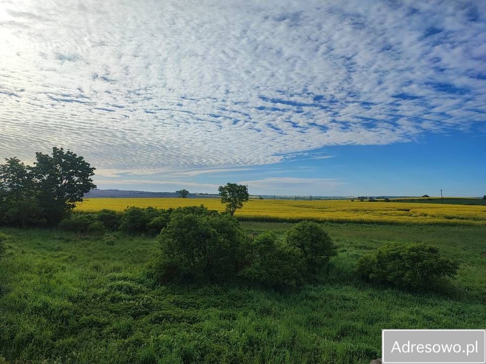 Działka siedliskowa Grzęda. Zdjęcie 8