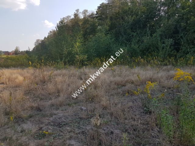 Działka budowlana Kosów. Zdjęcie 4