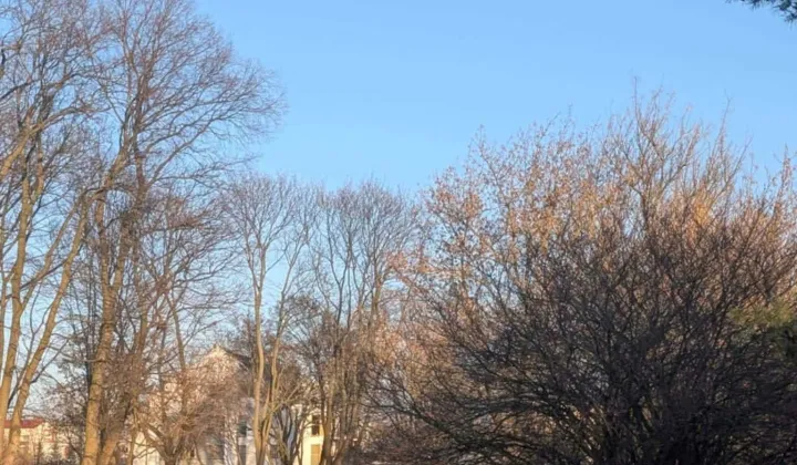 Działka rod Błonie