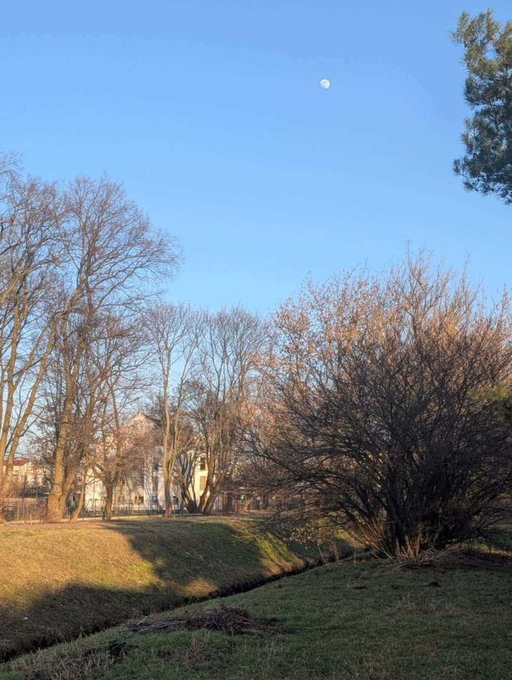 Działka rod Błonie. Zdjęcie 1