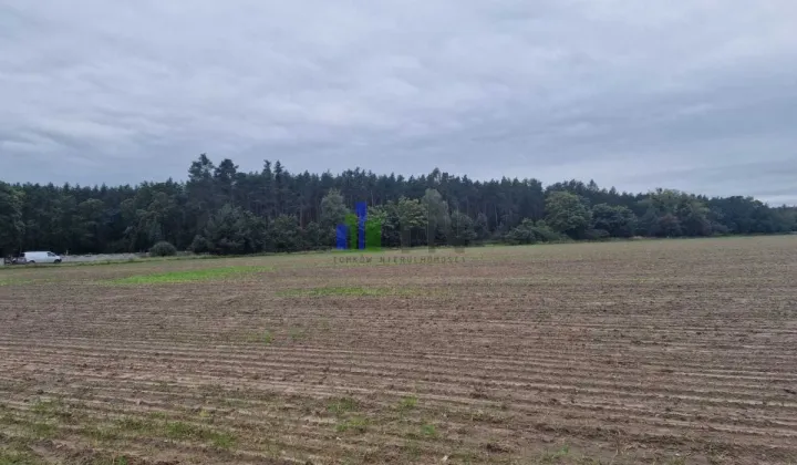 Działka budowlana Nowy Dwór