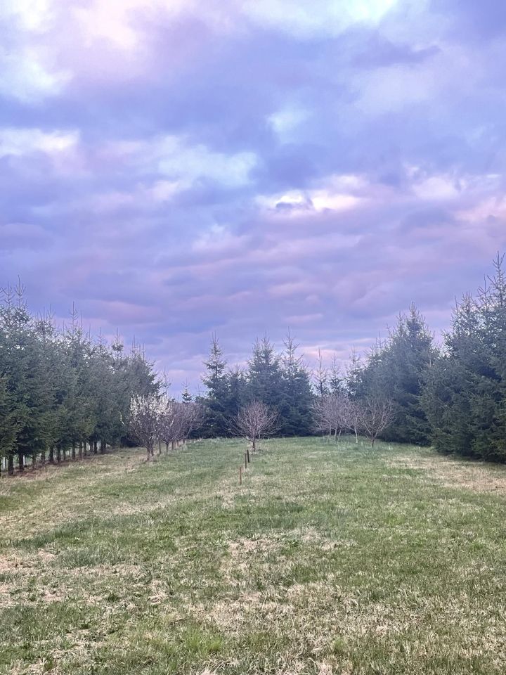 Działka budowlana Całowanie. Zdjęcie 3