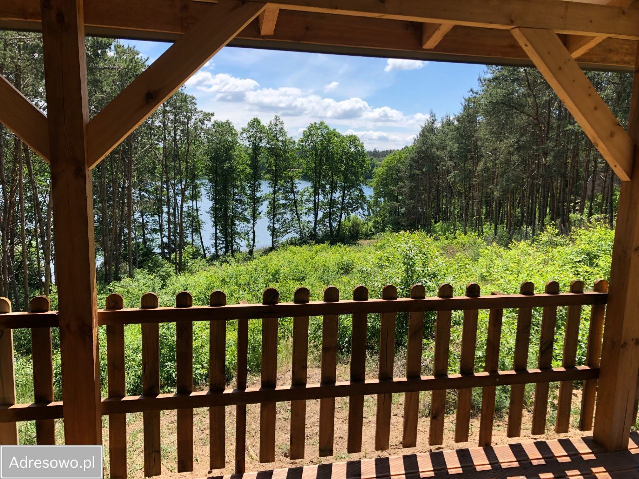 Działka leśna Anastazewo. Zdjęcie 9