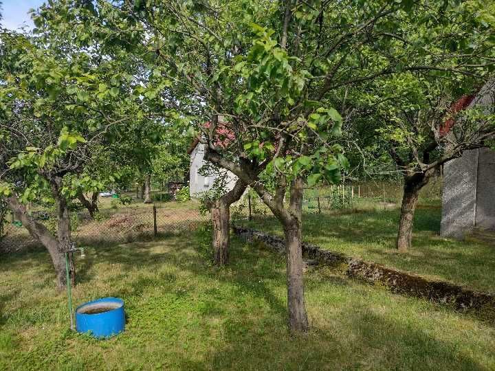 Działka rekreacyjna Wilkanowo