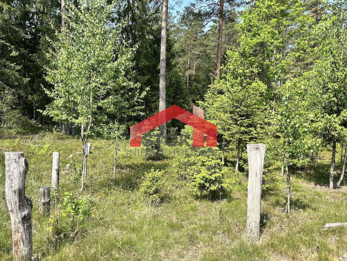 Działka leśna Rudnica. Zdjęcie 2