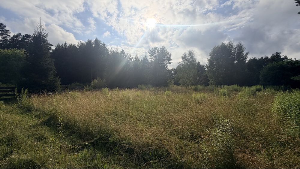 Działka budowlana Wałpusz. Zdjęcie 4