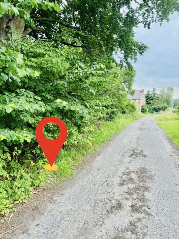 Działka rolno-budowlana Radzanek. Zdjęcie 4