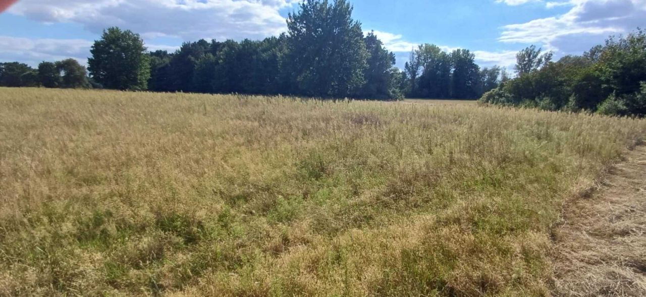 Działka rekreacyjna Słopsk