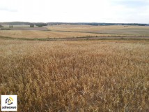 Działka rolna Smętowo Graniczne. Zdjęcie 2