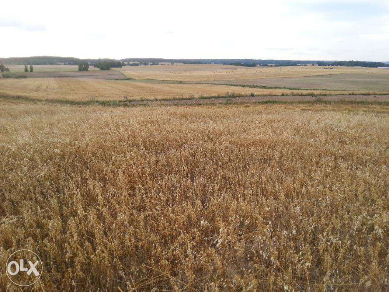 Działka rolna Smętowo Graniczne. Zdjęcie 3