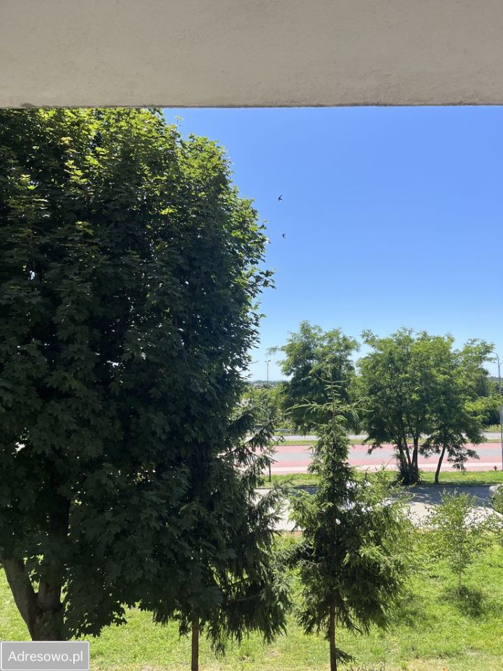 Mieszkanie 2-pokojowe Busko-Zdrój, os. gen. Władysława Sikorskiego. Zdjęcie 6