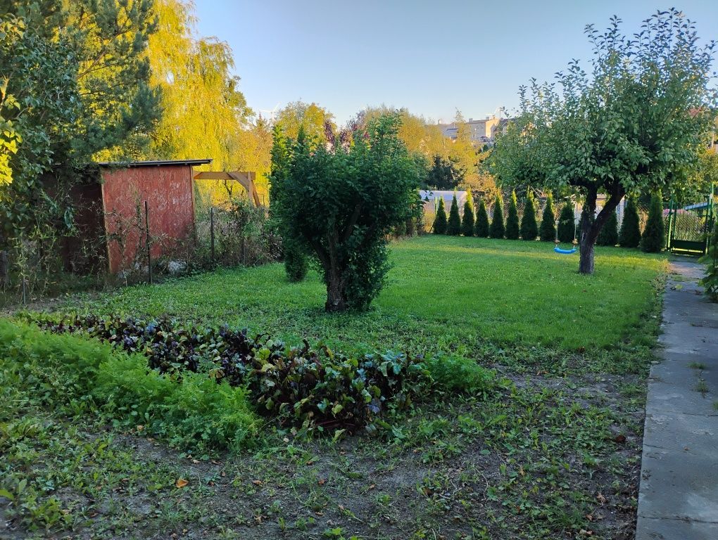 Działka rod Radzyń Chełmiński. Zdjęcie 3