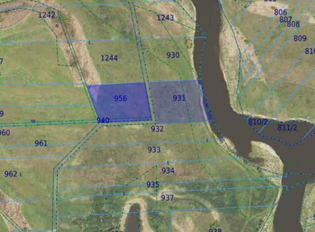 Działka rolna Pniewo. Zdjęcie 1