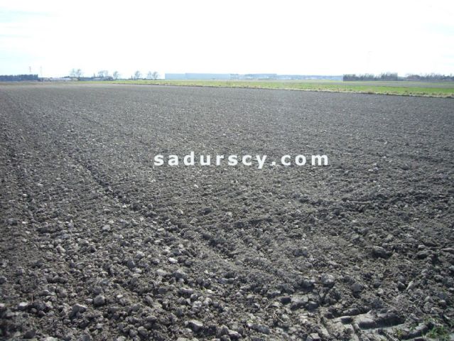 Działka inwestycyjna Nowa Wola. Zdjęcie 4